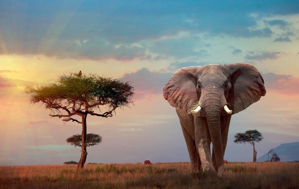 Ilustračná fotografia