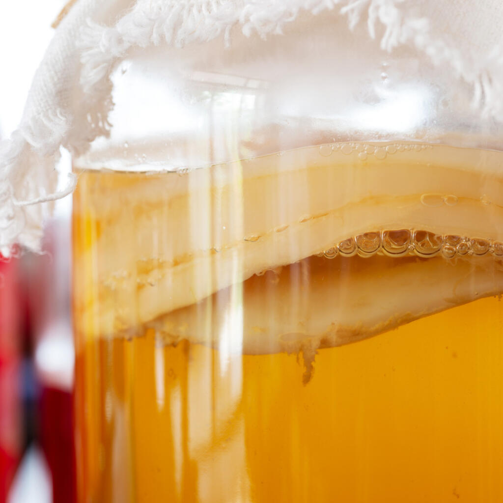 Kombucha je tvorená zo symbiotického zhluku baktérií a kvasiniek.