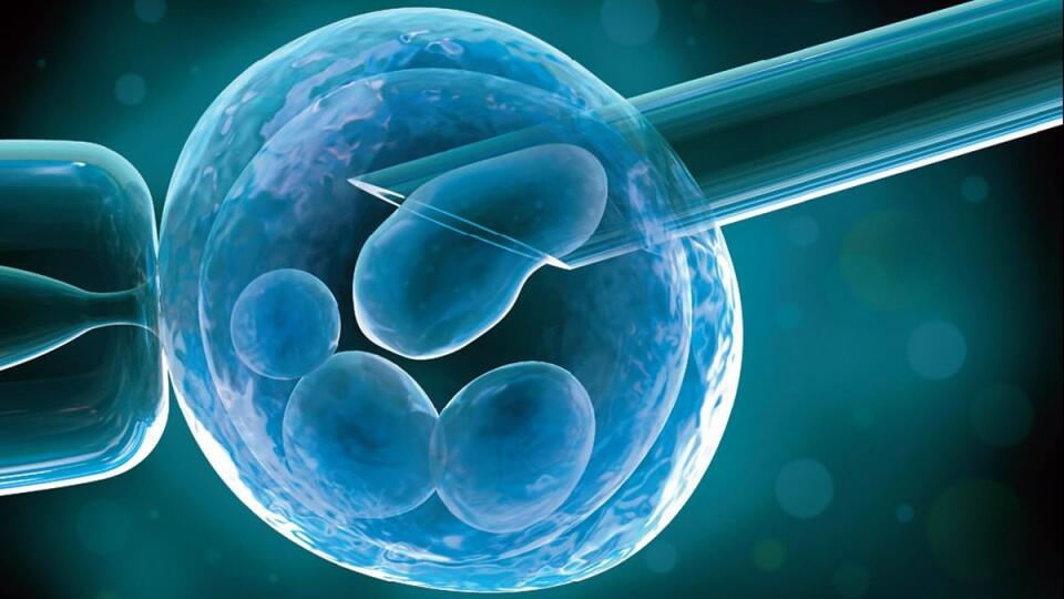 Proces mimotelového oplodnenia (IVF) umožňuje vyšetriť embryá v skúmavke ešte pred ich prenesením do dutiny maternice.