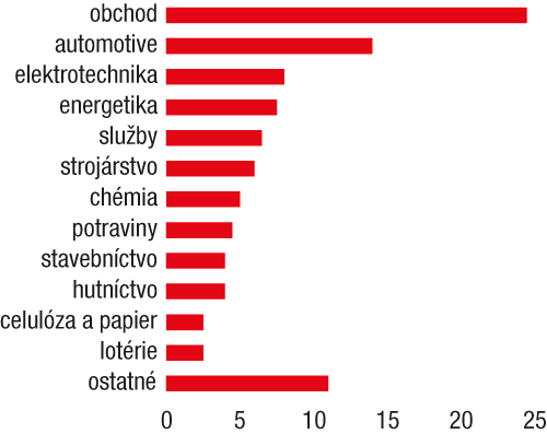 Napriek problémom priaznivý rok