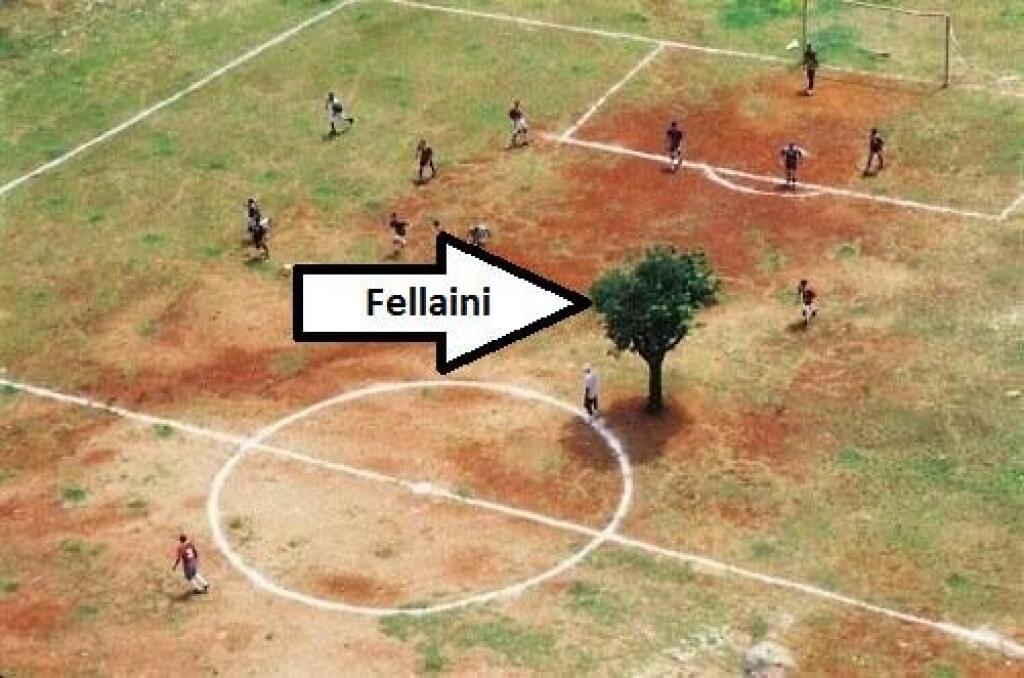 BONUS: Marouane Fellaini - strom