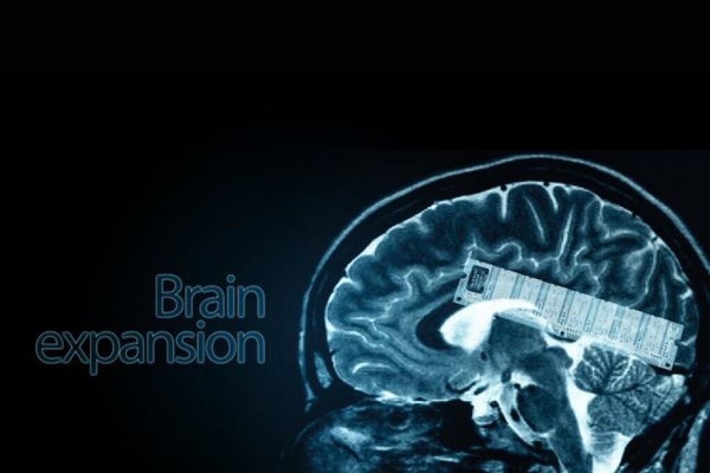 Мозг и память после 40. Мозг память. Мозговые импланты и память.