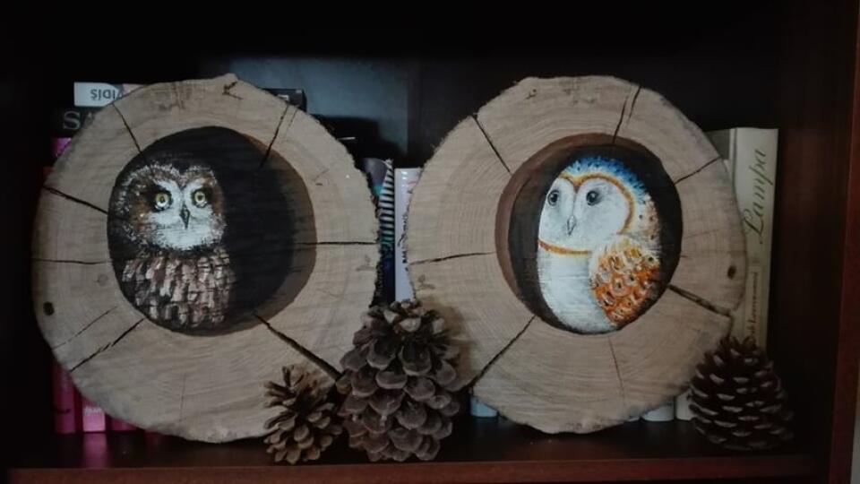 DIY čitateľky