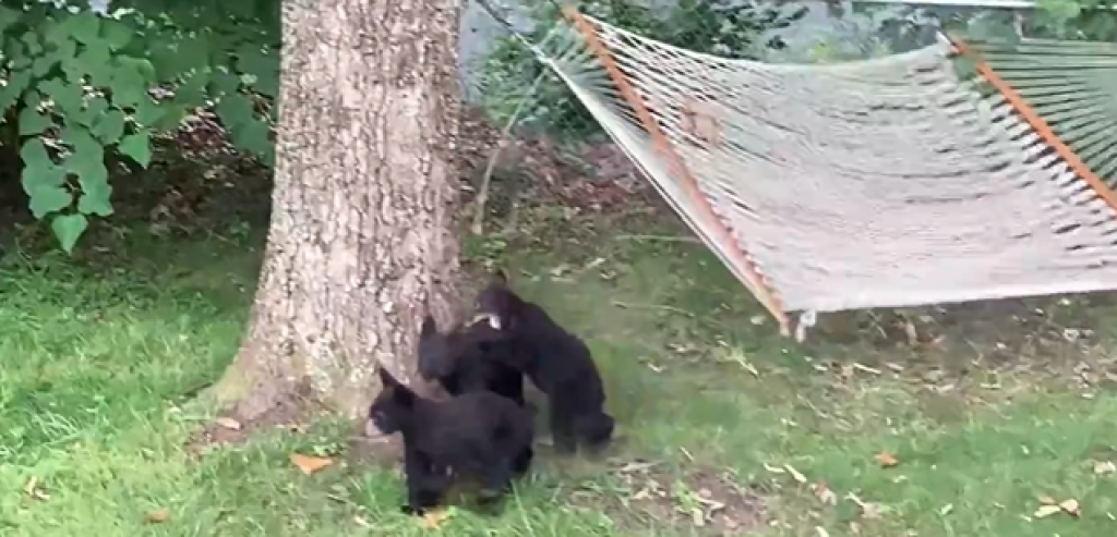 Keď však mama zavelí, treba vypadnúť.