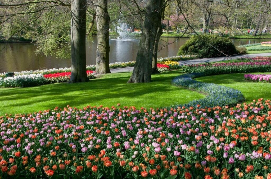 Keukenhof - “Záhrada Európy“ v Holandsku