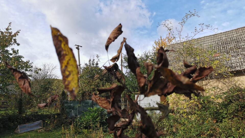 So silným vetrom na horách treba v utorok (24. 10.) rátať vo viacerých okresoch na severe Slovenska. Slovenský hydrometeorologický ústav (SHMÚ) vydal výstrahy prvého stupňa. Informuje o tom na svojom webe. (Ilustračné foto)