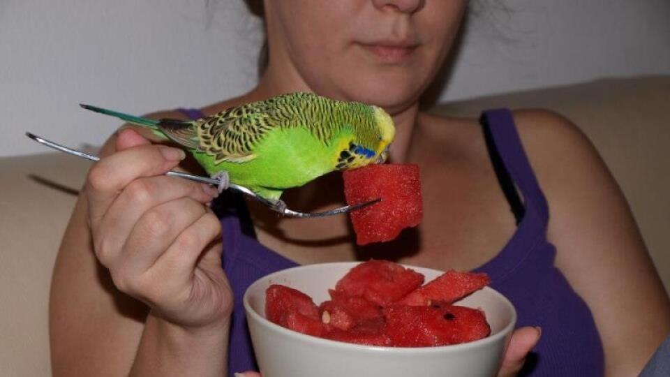 Rikino: Melón
je zásadne
vidličkou.