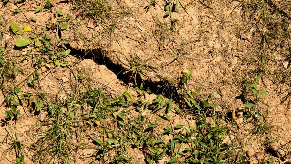 The picture shows cracks in the soil in a field near the village of Oponice in the district of Topoľčany.