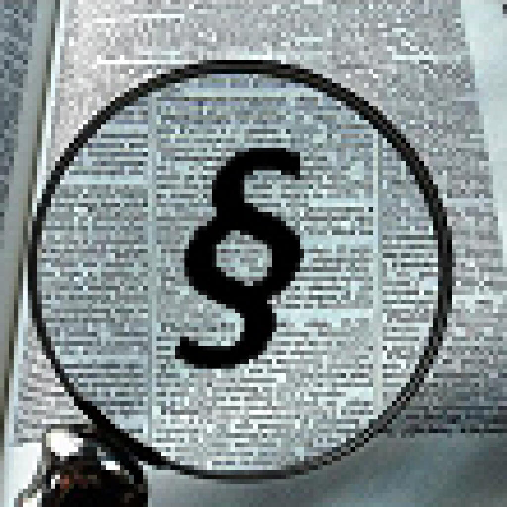 Český konateľ slovenskej s.r.o. a výpis z registra trestov