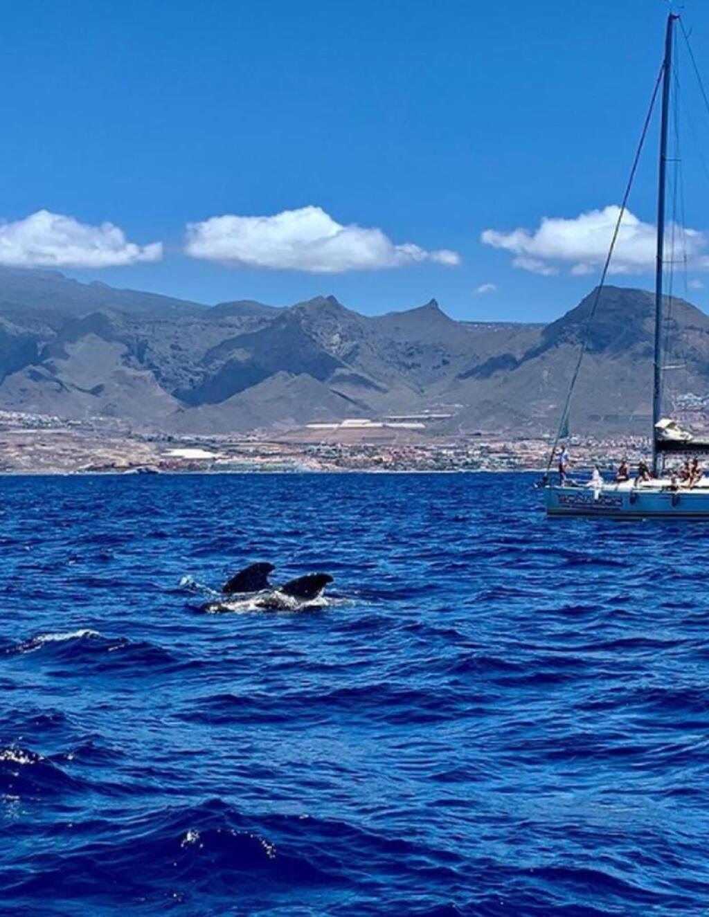 Zuzana Belohorcová, Tenerife