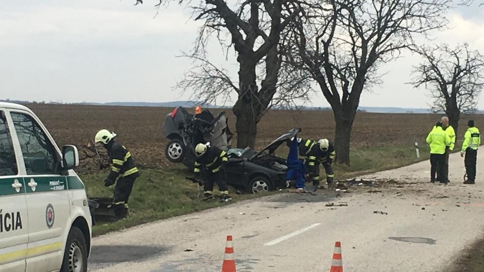 Na tejto ceste vyhasol život Nikolky (†22)