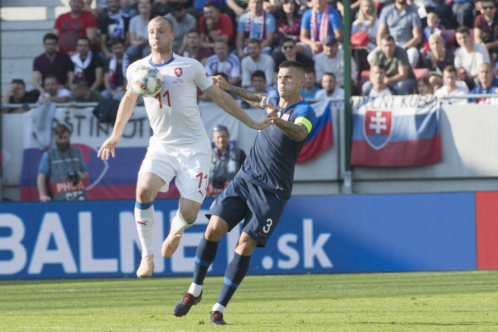 vTakto to vyzeralo na trávniku a na tribúnach počas zápasu Slovensko - Česko.