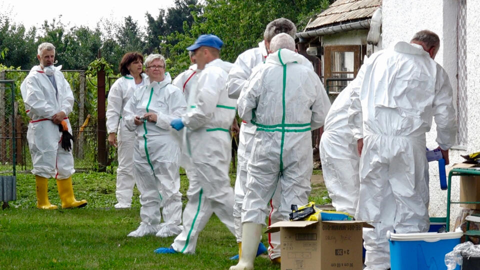 Radikálne riešenie: V lokalite potvrdeného moru ošípaných veterinári likvidovali všetky prasiatka. Aj tie zdravé. Aby sa ďalej mor nešíril.