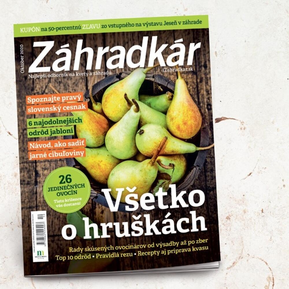 Októbrový Časopis Záhradkár nájdete v predaji.