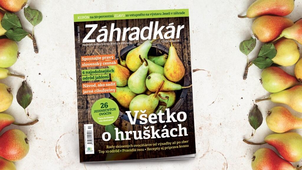 Októbrové vydanie Časopisu Záhradkár už v predaji.