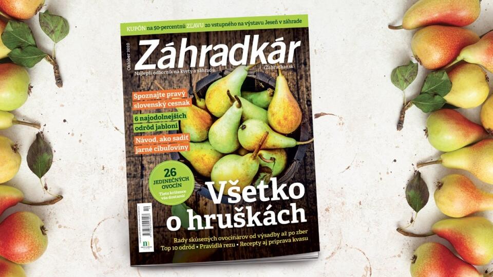 Októbrový Časopis Záhradkár nájdete v predaji.