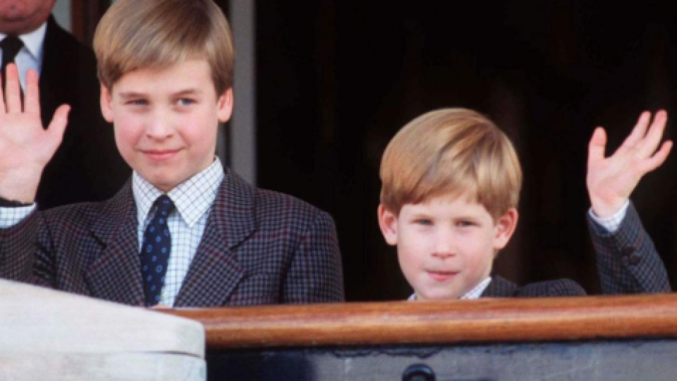 Princovia William a Harry.