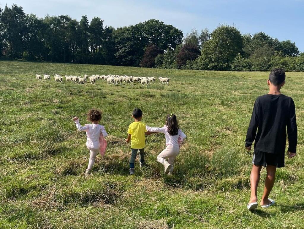Ronaldo sa na tomto mieste po prestupe do Manchestru ohrial len niekoľko dní. Po nich si musel nájsť nové bývanie, lebo sa kvôli ovciam nemohol vyspať.
