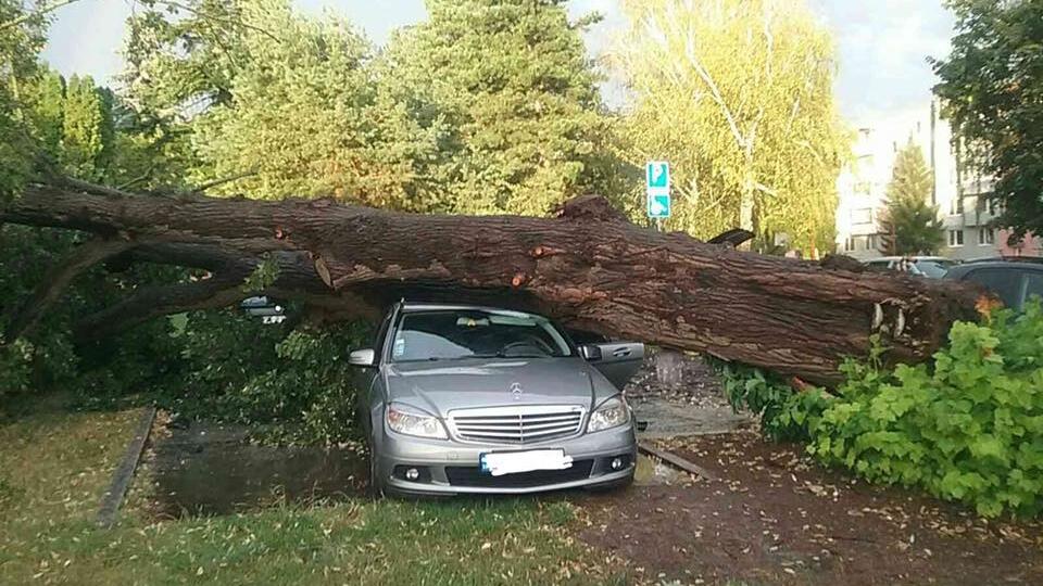 Hasiči v nedeľu (30. 8.) a pondelok zasahovali pre nepriaznivú poveternostnú situáciu až v 80 prípadoch.