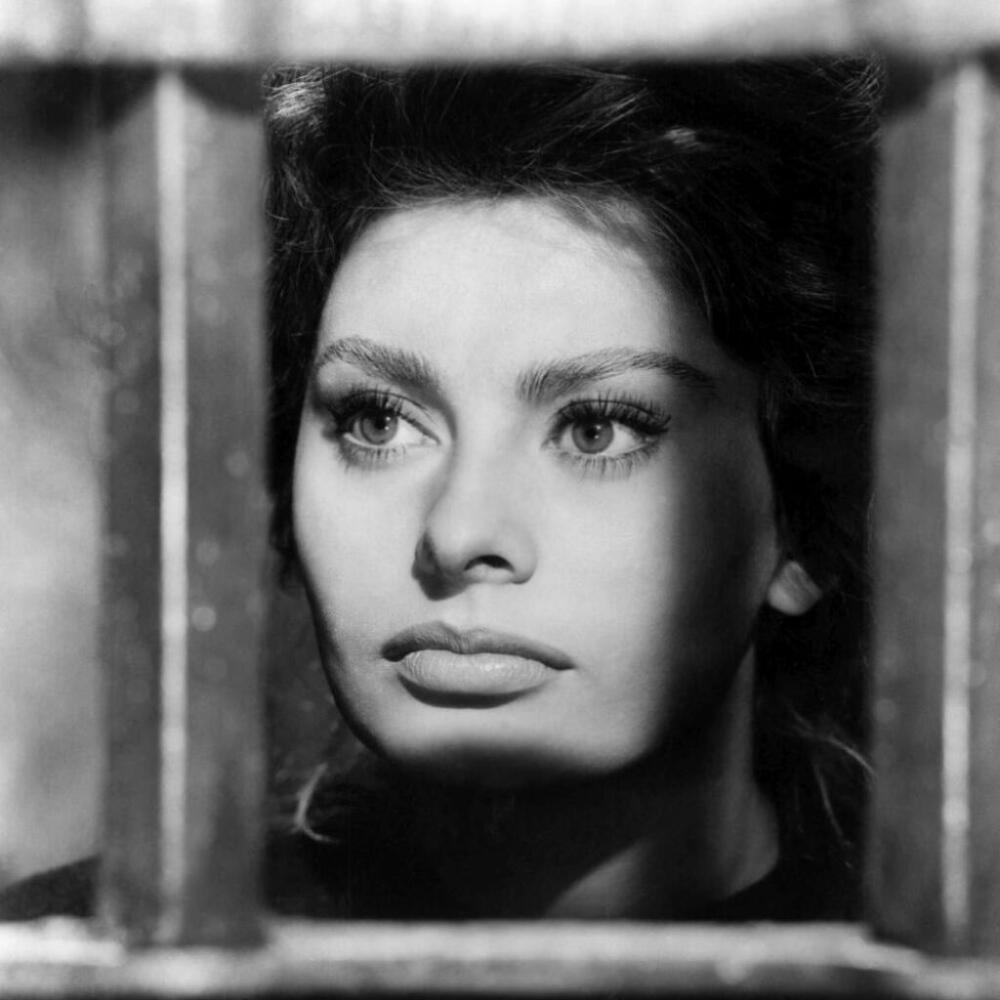 Sophia Loren