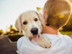 Každý psíčkar musí vedieť týchto 10 vecí: Váš pes vám bude vďačný