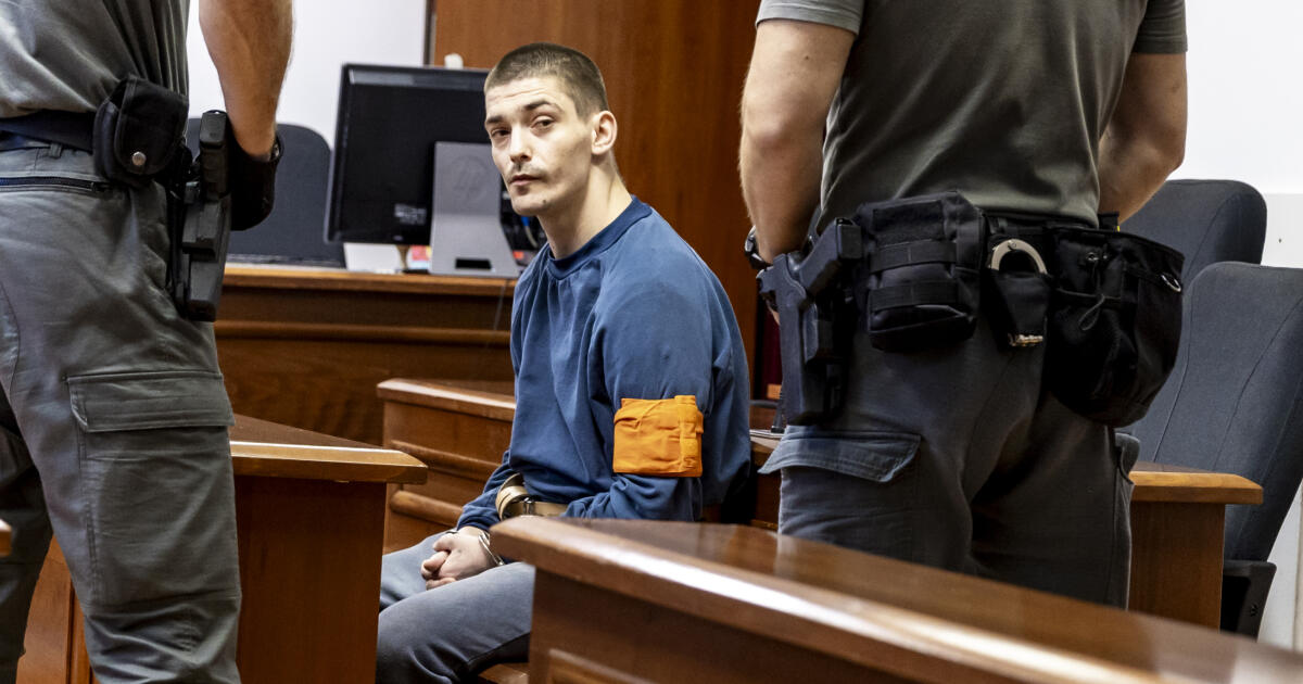 L’auteur de l’assassinat de son ami a été condamné à une peine de 24 ans de prison