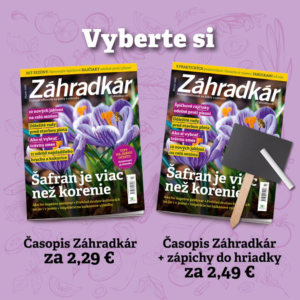 Váš obľúbený časopis si tento raz môžete kúpiť buď samostatne alebo so zápichmi do hriadok. Časopis so zápichmi nájdete v sieti obchodov CBA, COOP Jednota, Kaufland, v stánkoch a trafikách.