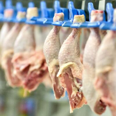 Inšpekcia varuje pred kúpou TOHTO mäsa: V Poľsku vykrmovali zvieratá škodlivými látkami!