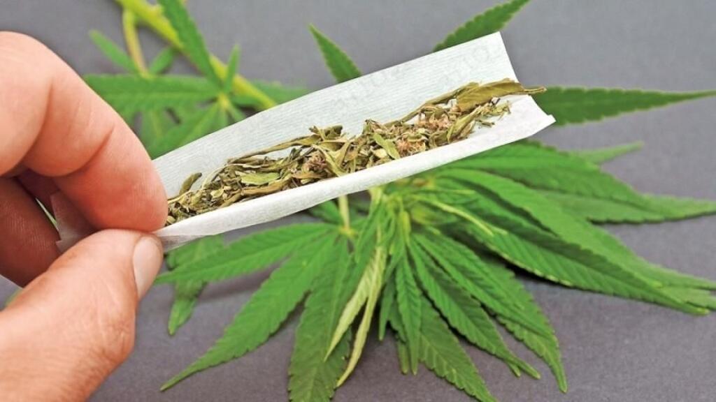 UTIŠUJE BOLESŤ Marihuana pomáha tak dospelým, ako aj deťom pri zákerných chorobách ako epilepsia či skleróza multiplex.