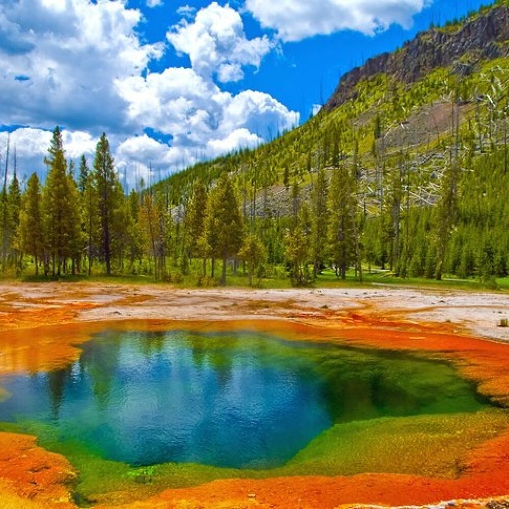 Yellowstone