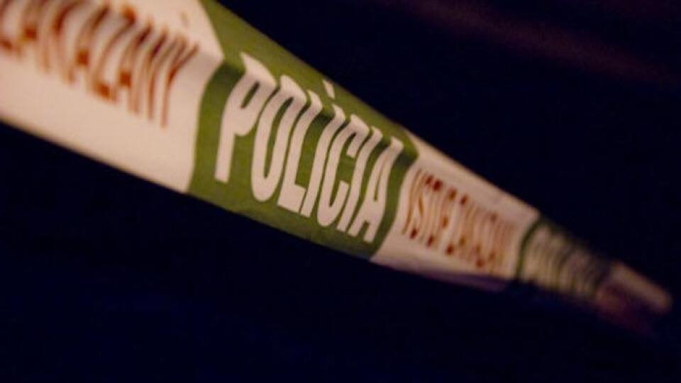 ikona polícia