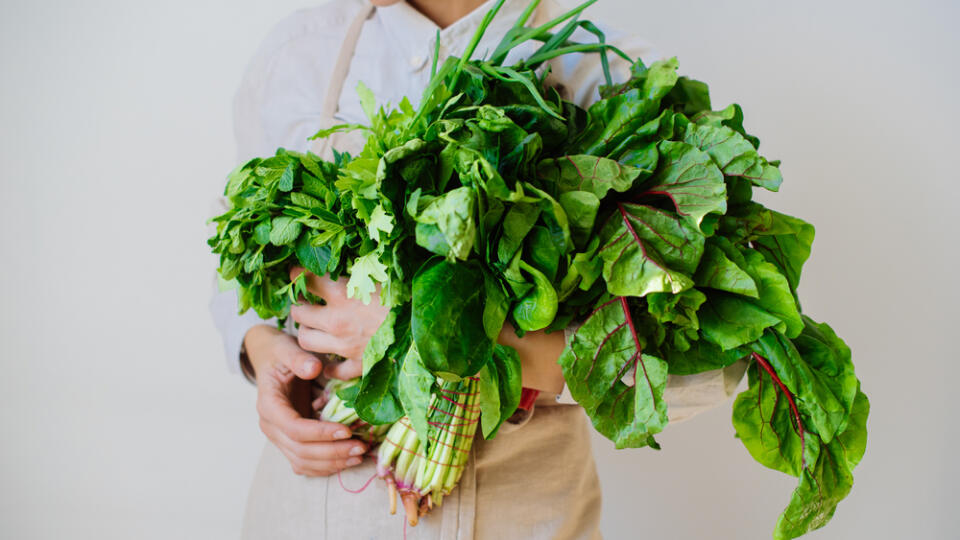 Girl,Holding,A,Large,Bouquet,Of,Freshly,Picked,Green,Leaves