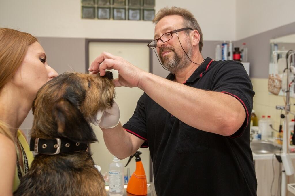 veterinár