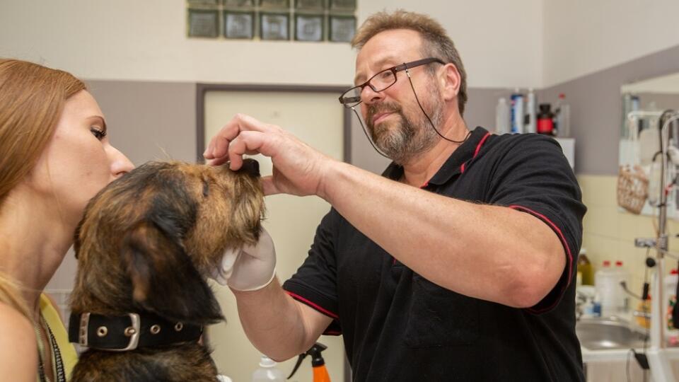 Veterinár
