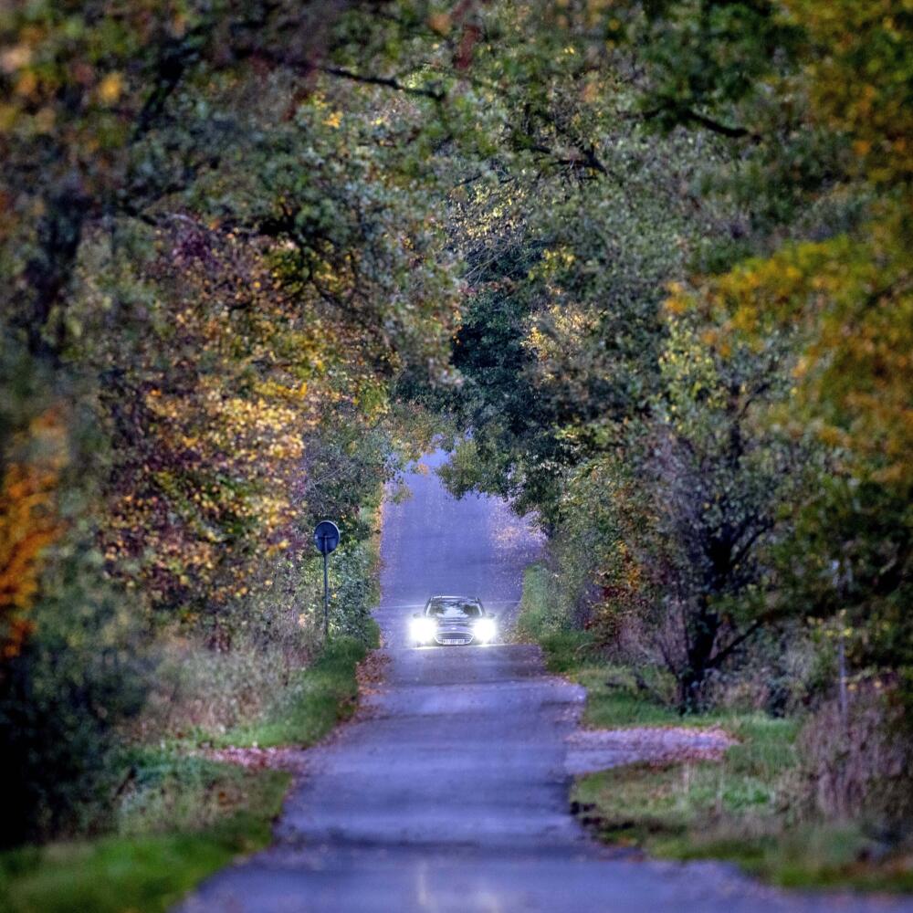 Cesta na dovolenku.