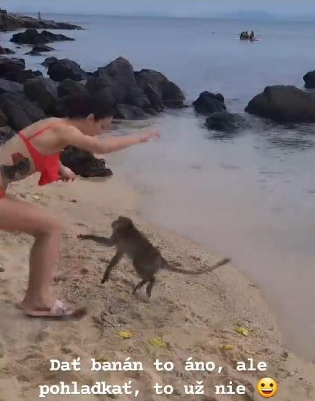 Okrem toho, že sa Chochlíková v Thajsku poctivo pripravovala na svetový šampionát, prišiel čas aj na oddych. Kickboxerka sa pochválila vtipnými zábermi. Opice sa totiž nenechali pohladkať a vznikol z toho súboj rovno na pláži.