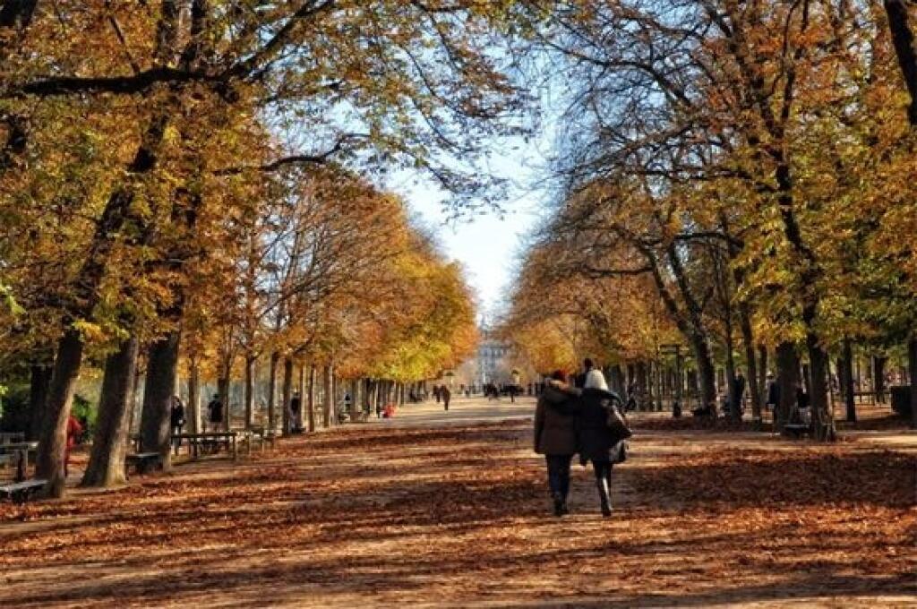 Na jesennej prechádzke Parížom.