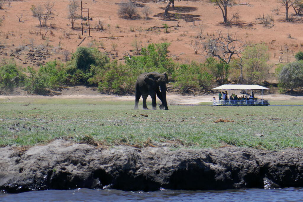 Safari na rieke Chobe