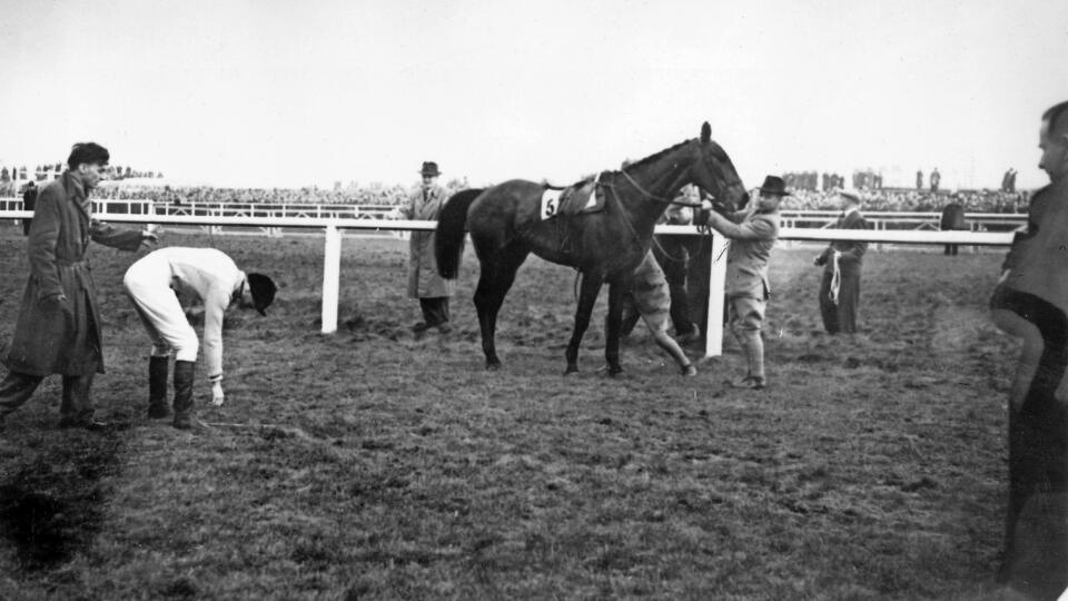 DEVON LOCH Nešťastný Dick Francis zdvíha bičík po nečakanom pošmyknutí svojho koňa pred cieľom Veľkej národnej steeplechase v Liverpoole v roku 1956, čo ho stálo víťazstvo.