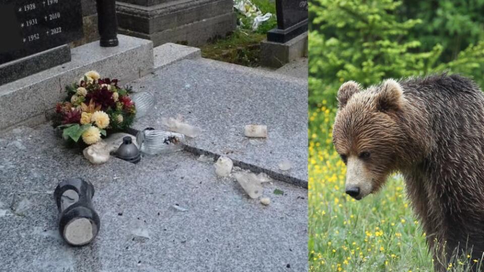 Medvede zdemolovali cintorín.