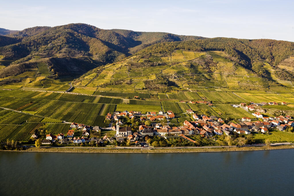 pôvodný súbor:0024 vinohrady a kravy Wachau a ine.jpg