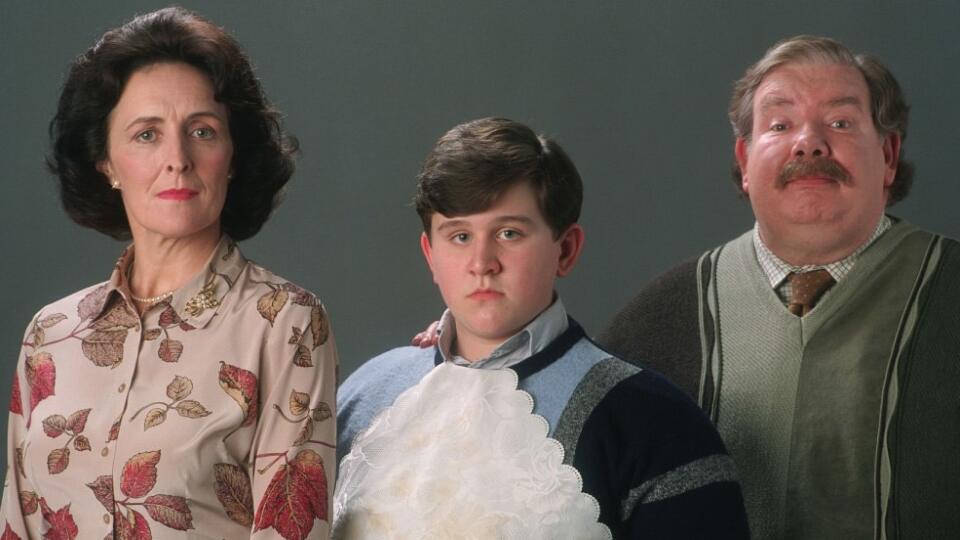 Dursleyovci, Harryho pestúni.