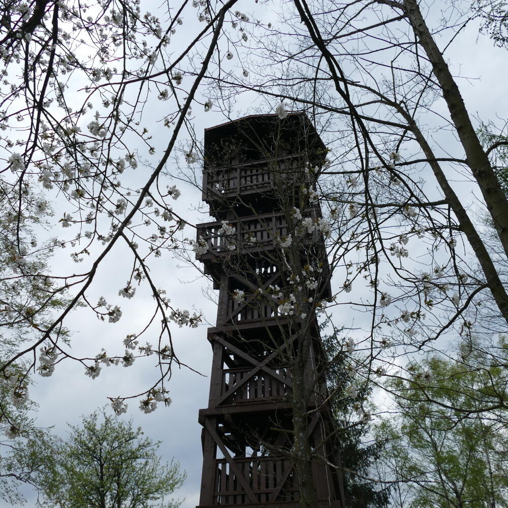 Rozhľadňa na Malom vrchu nad obcou Divinka-Lalinok