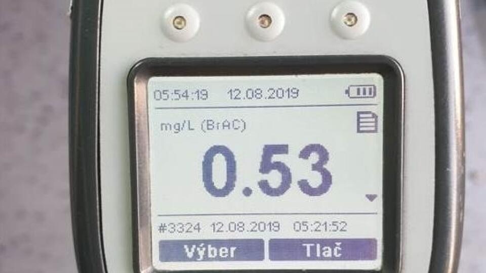 Dvaja kamionisti pod vplyvom alkoholu