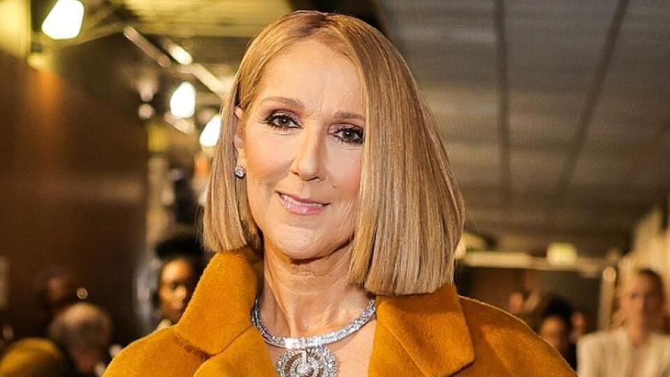 Kanadská speváčka Céline Dion