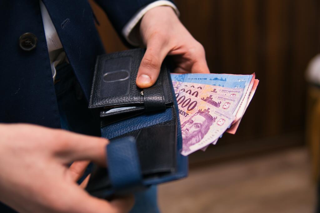Professional,Businessman,Has,Hungarian,Forints,In,His,Hands.,Hungarian,Economy,
