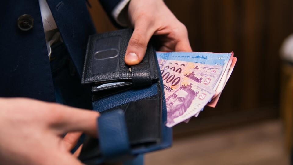 Professional,Businessman,Has,Hungarian,Forints,In,His,Hands.,Hungarian,Economy,