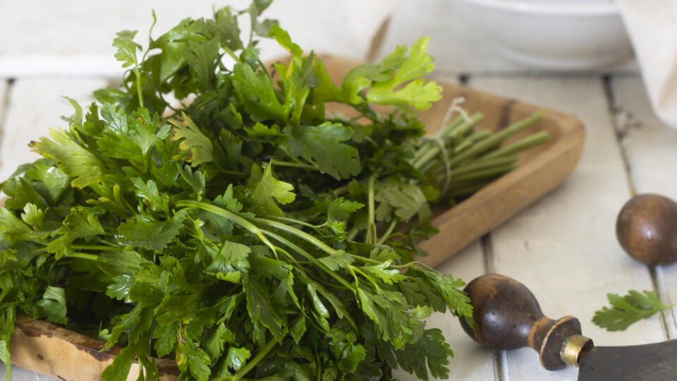 Hladkolistá petržlenová vňať je viac aromatická ako kučeravá