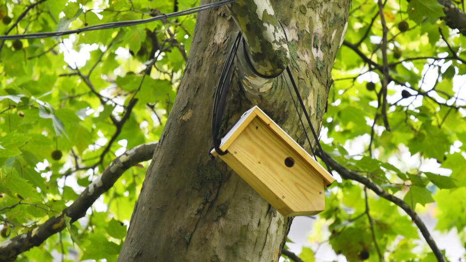 Projekt Pomôžme našim okrídleným susedom