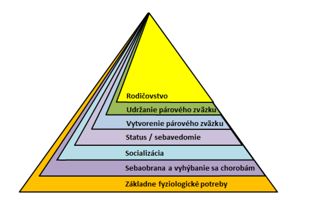 Evoluční psychológovia nám chcú zmeniť Maslowovu pyramídu